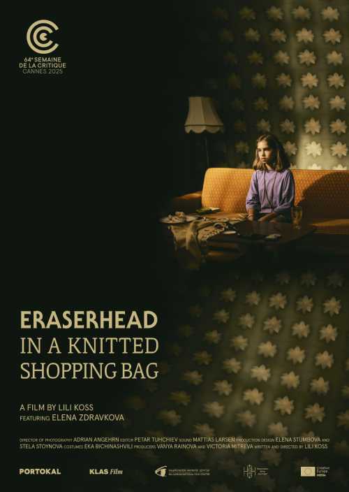 GLAVA ZA BRISANJE U PLETENOM CEGERU / ERASERHEAD IN A KNITTED SHOPPING BAG